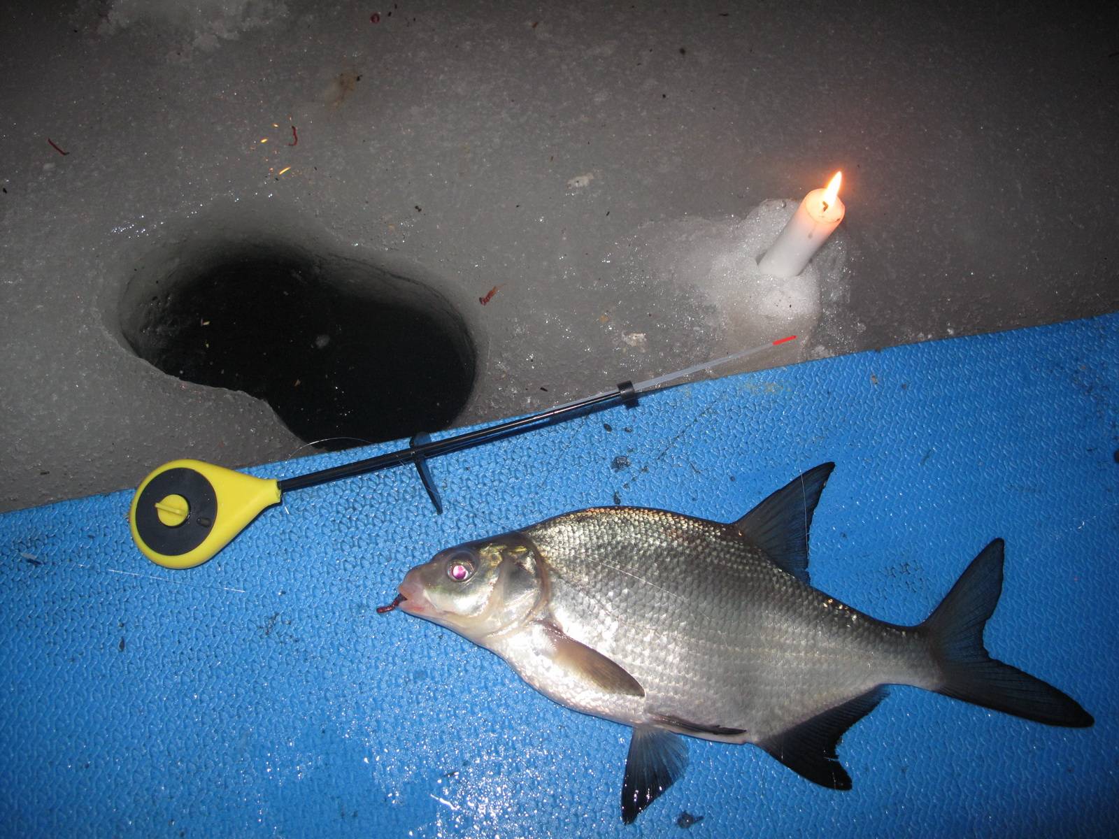 Ловля леща зимой со льда: особенности лова, прикорма и насадок - читайте на сatcher.fish