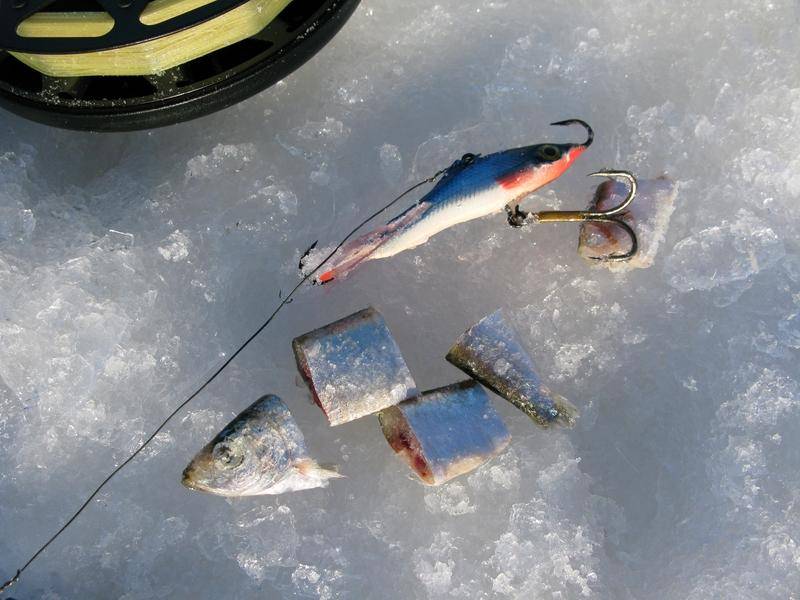 Ратлины для зимней рыбалки: особенности выбора, техника ловли, плюсы и минусы