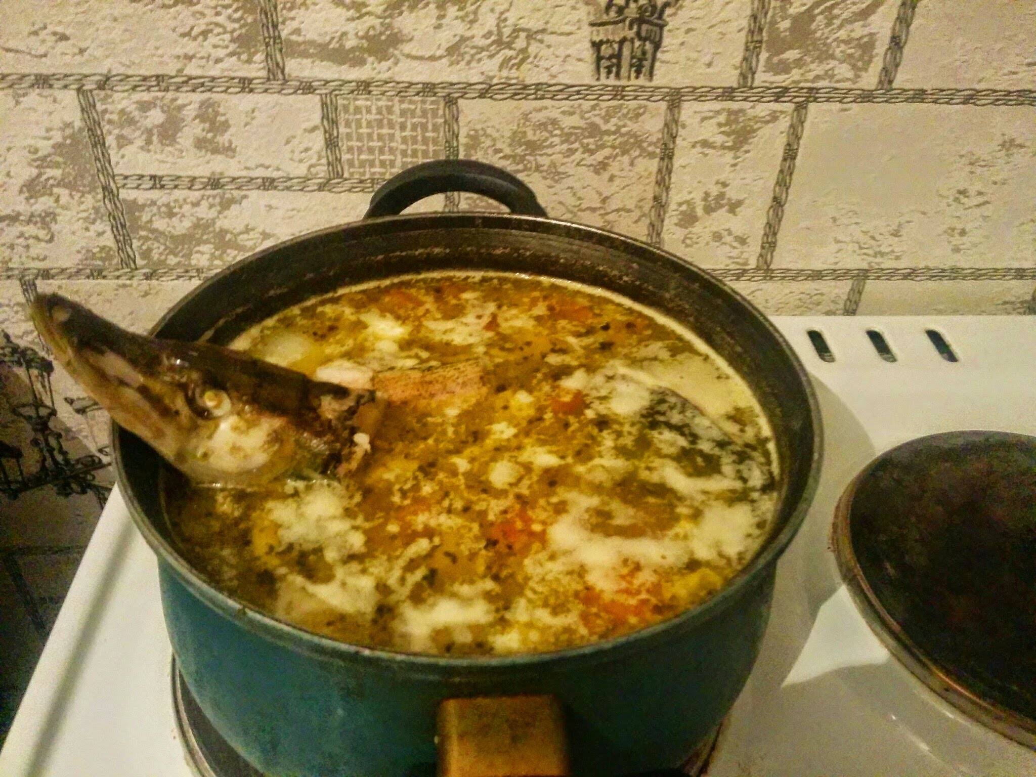 Рыбацкая уха из щуки и классический рецепт простого блюда | черпачок