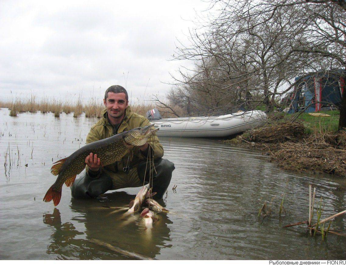 Рыболовные базы в краснодарском крае
