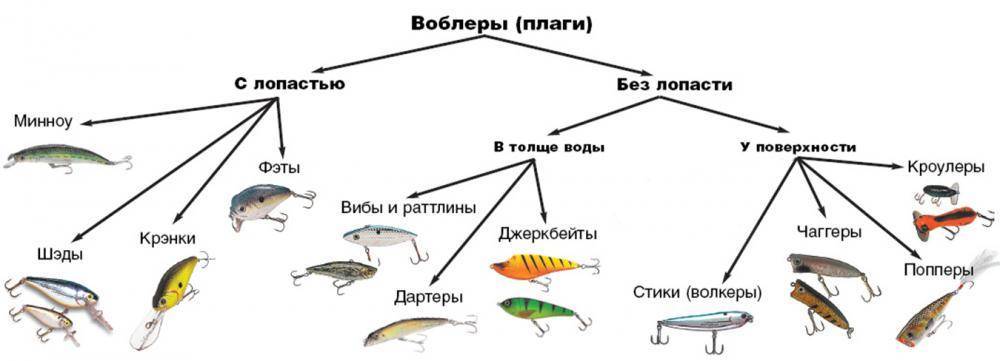 Спиннинговые приманки: виды и способы проводки спиннинговых приманок на море и реке