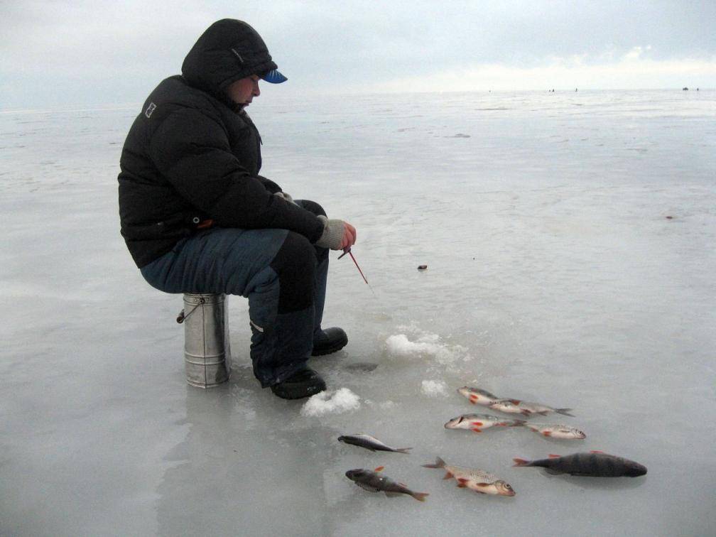 Безмотылка на окуня: виды безмотыльных мормышек, создание своими руками, применение на зимней рыбалке