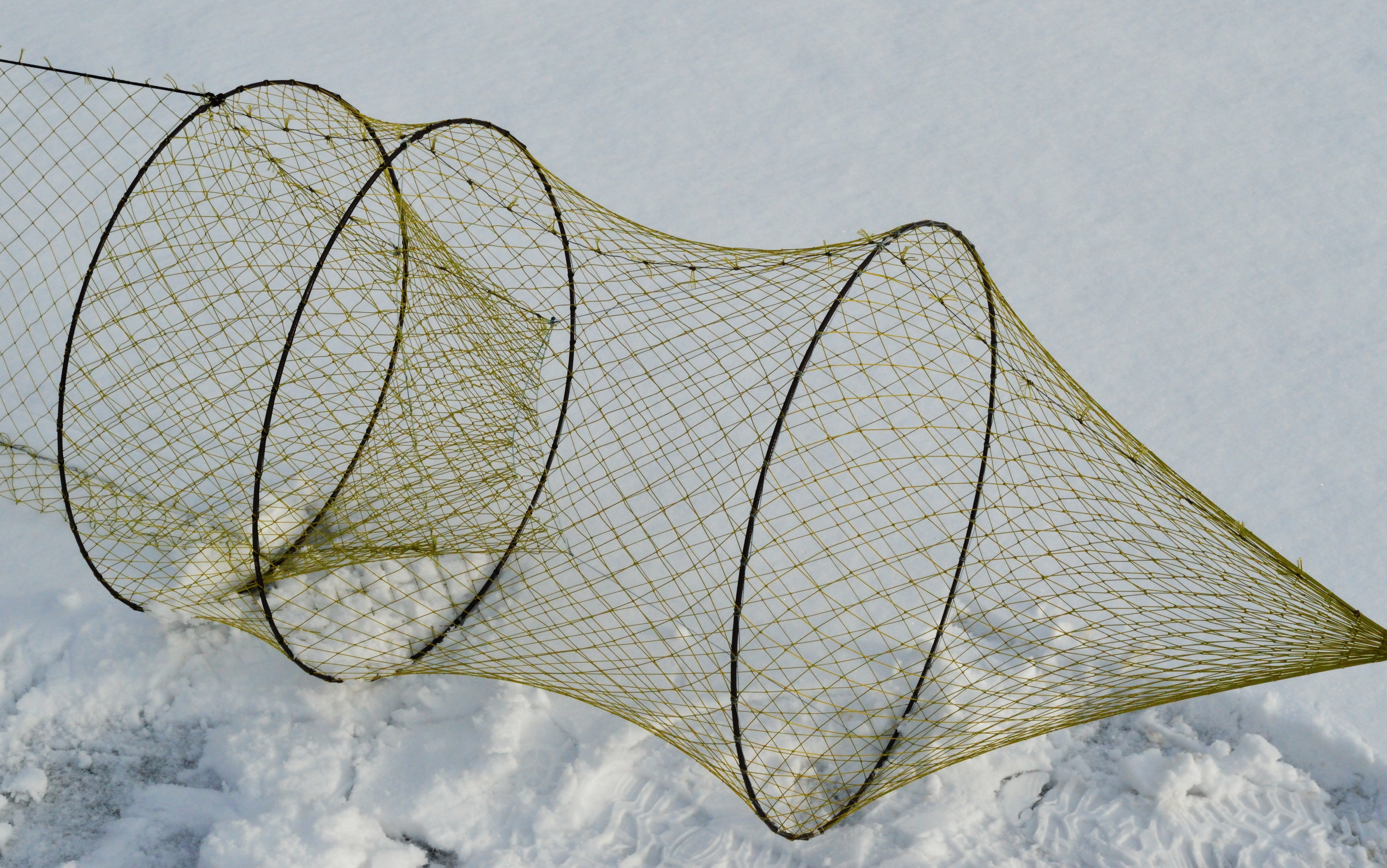 Для ловли рыбы 3. Жак, вентерь, мерёжа. Рыболовная ЛОВУШКА вентерь. Раколовка вентерь. Крылёна двухбутерная d 600 мм ячея 24 мм.