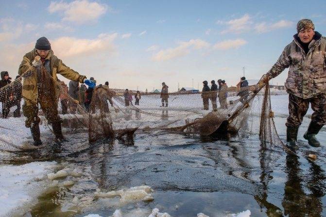 Клевая рыбалка в якутии - ловля зимой, летом 2021, смотреть видео