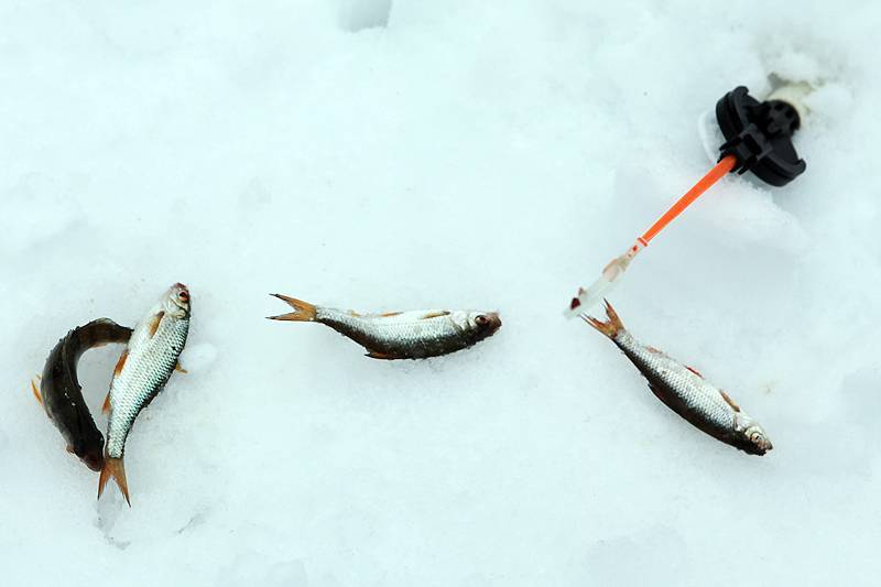 Как зимой ловить на мормышку: уловистые мормышки для зимней рыбалки, безмотылки, как правильно привязывать мормышку, две мормышки на зимнюю удочку?