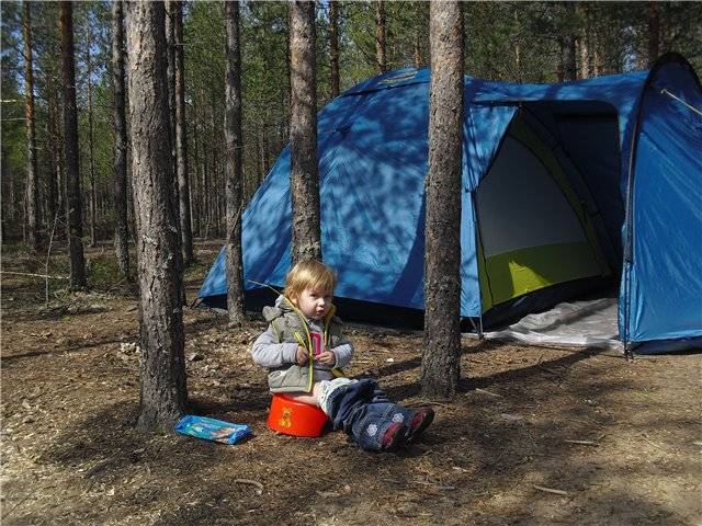 Поход с палатками с детьми. Поход с детьми с ночевкой на природу. Дети в палатке на природе.