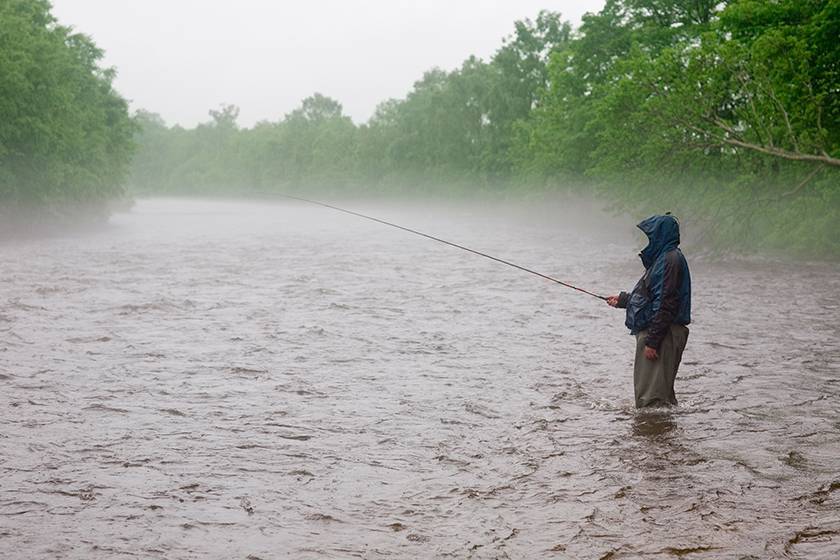 Клюёт ли лещ в дождь: ловля в дождливую погоду на фидер, ловится ли рыба после осадков