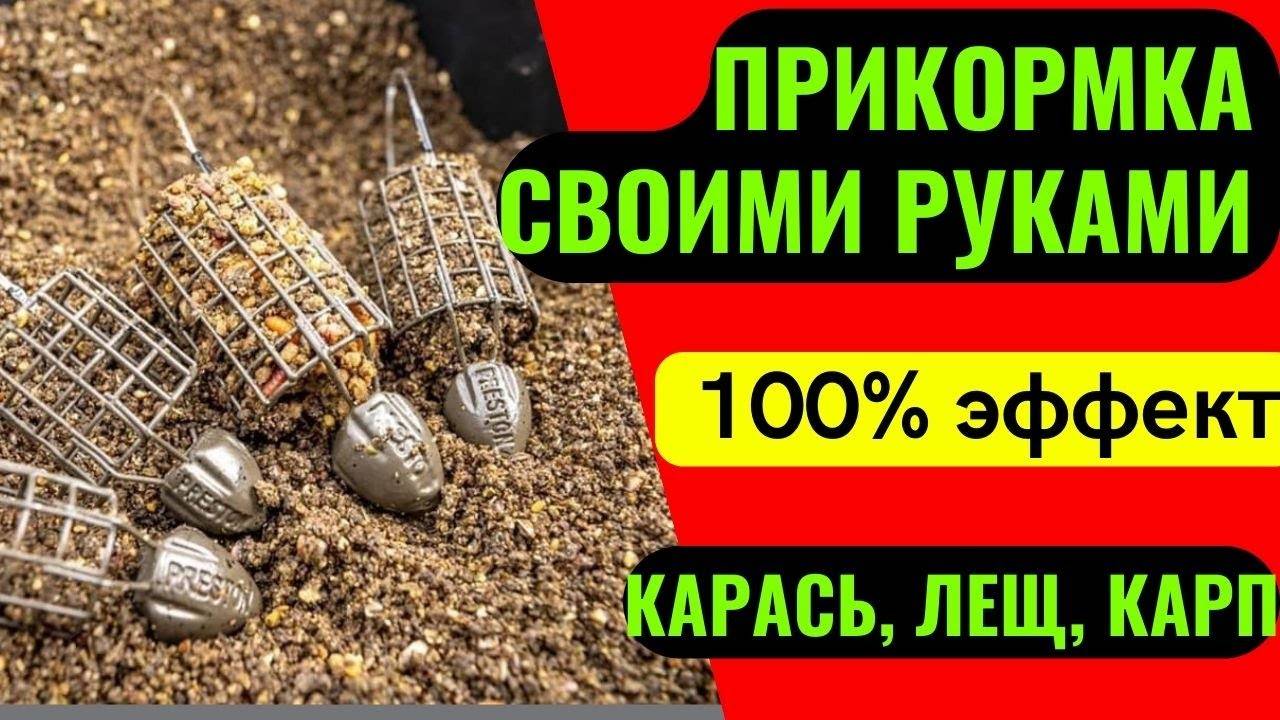 Наживка для карася: какую взять?