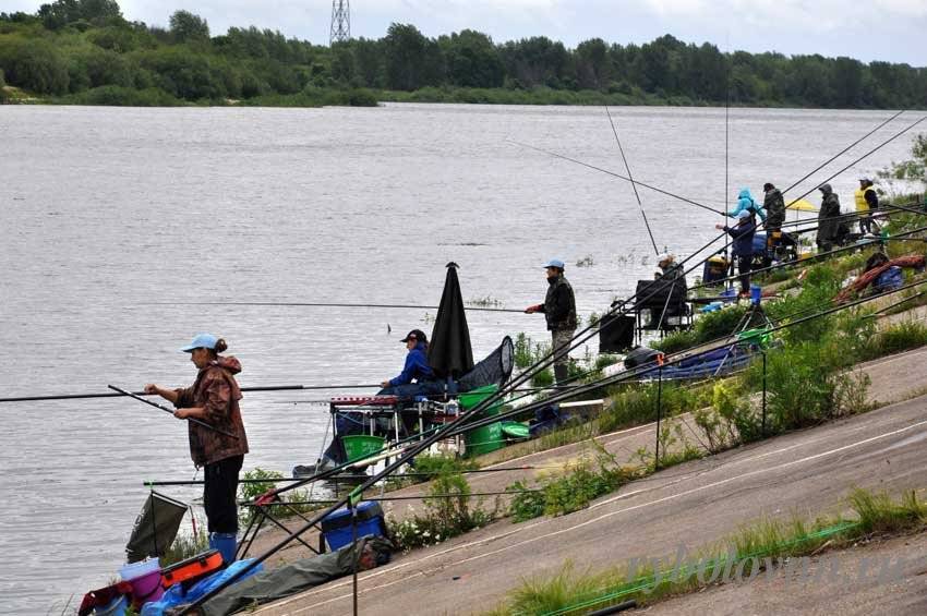 Рыболовные места нижегородской области - как доехать, кого можно поймать