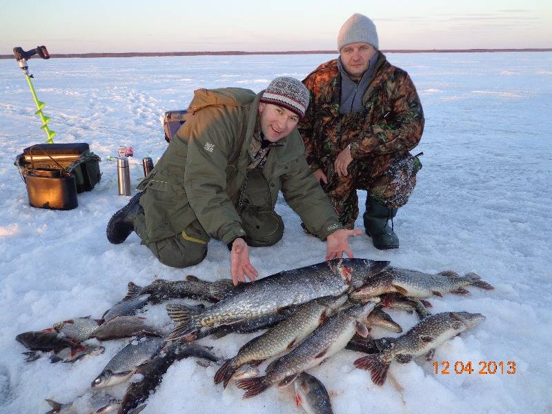 Обзор рыбных баз в пудышах на яузском водохранилище | клуб рыбака