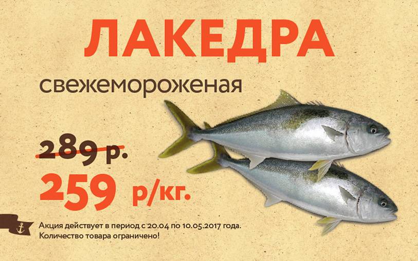 ???? лакедра или желтохвост: описание рыбы и среды ее обитания