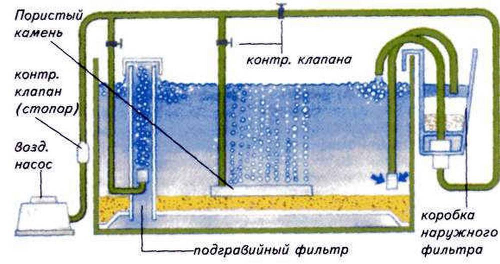 Фильтрация и аэрация воды аквариума, виды фильтров