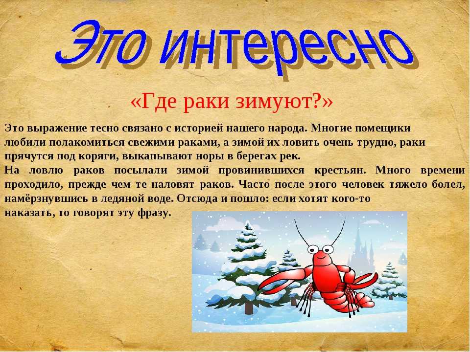 Край где рак. Gde Raki thimyut. Фразеологизмы про зиму. Фразеологизмы о зиме с картинками. Раки? (В подводных норах.