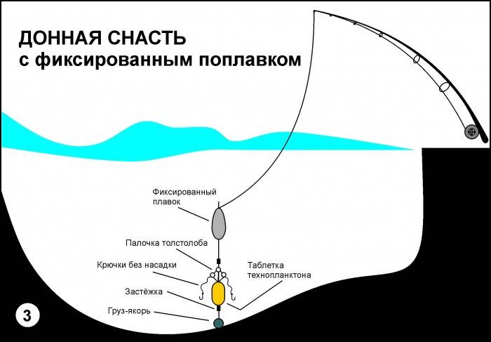Ловля толстолоба на технопланктон – рыбалке.нет