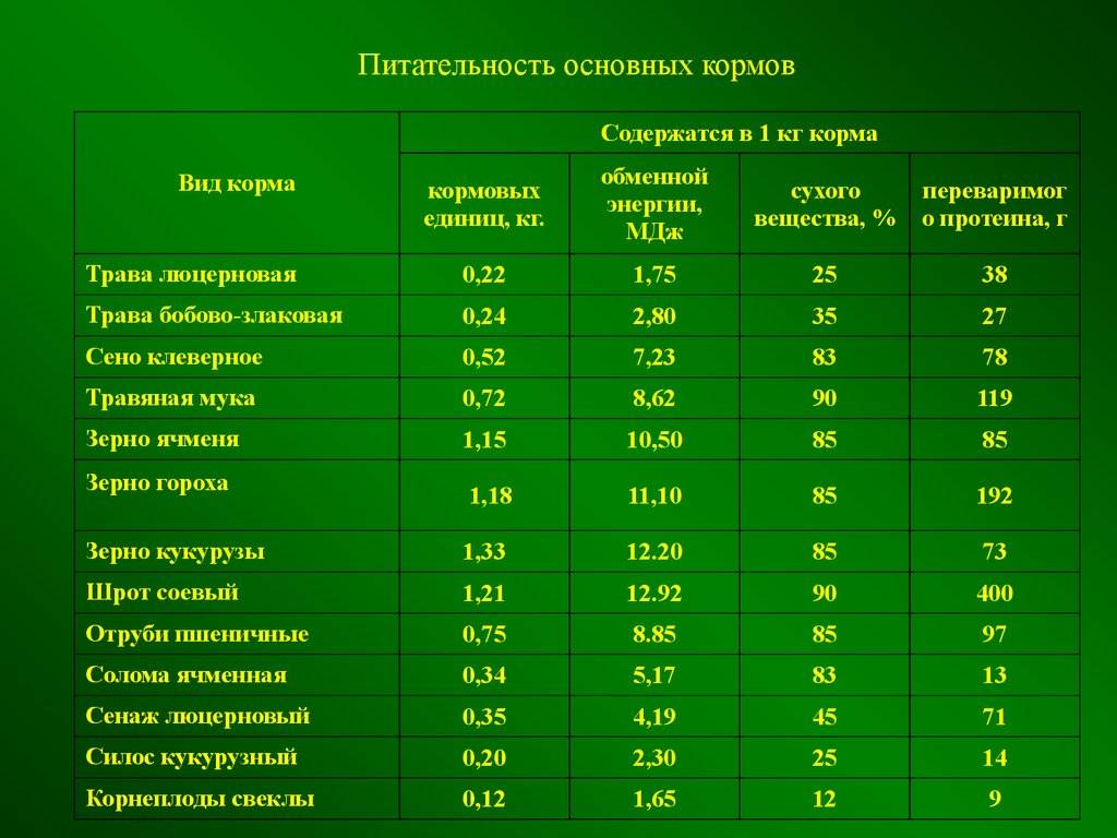 Последние комментарии
