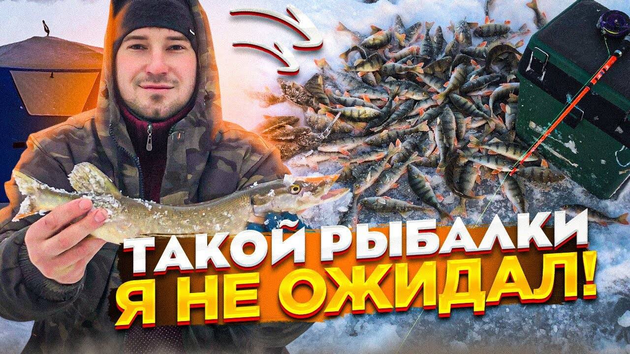 Секреты зимней ловли налима на жерлицы
