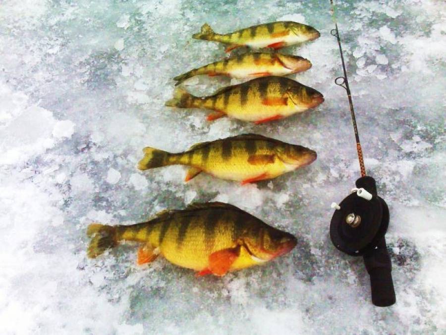 Рыбалка по последнему льду - читайте на сatcher.fish