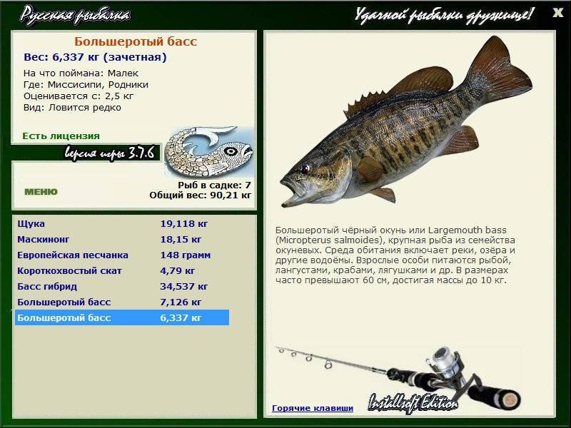 ???? рыба барабулька: описание видов с фото, польза и вред