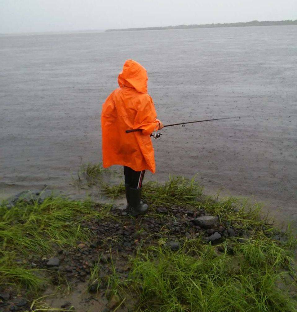 Клюет ли форель в дождь. в какую погоду отправляться на рыбалку