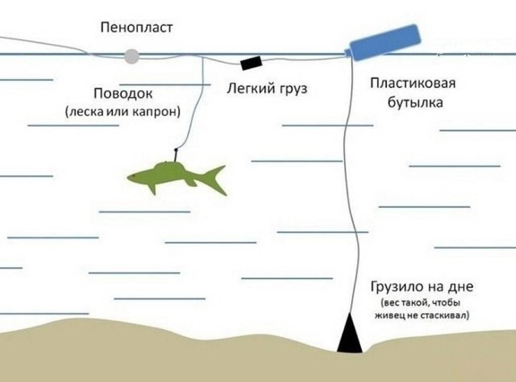 Как ловить щуку на кружки летом?