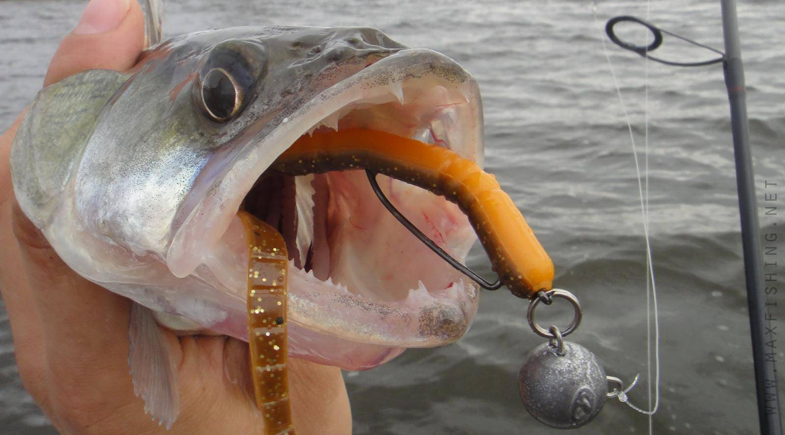 Джиговая ловля – техника рыбалки и правила оснастки спиннинга