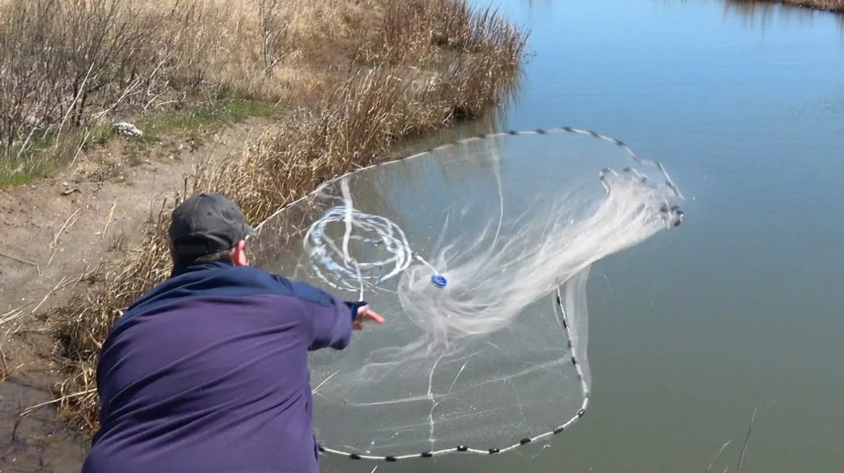 Можно рыбачить сетями. Рыбацкая снасть кастинговая сеть. Невод 110 метров. Сеть парашют для рыбалки.