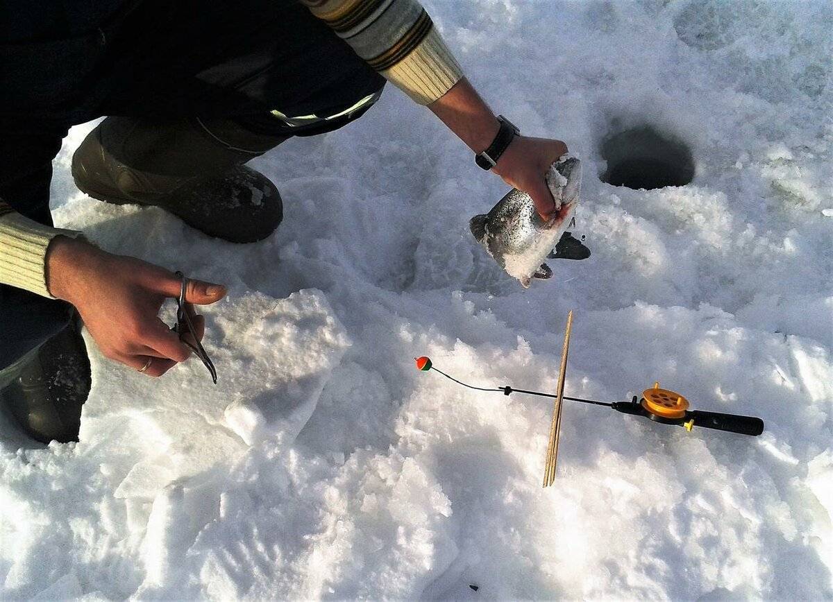 Зимний спиннинг: особенности снасти, место и техника ловли