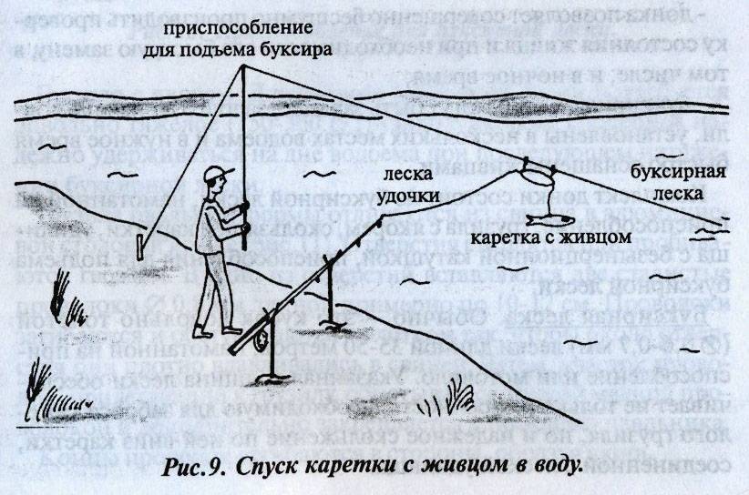 Ловля судака на спиннинг с берега: тонкости и секреты от рыбаков
