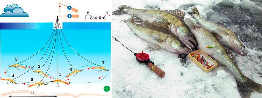 Ратлины для зимней рыбалки (вибы): как привязать, снасти для ловли, техника проводки, топ 10 лучших ратлинов