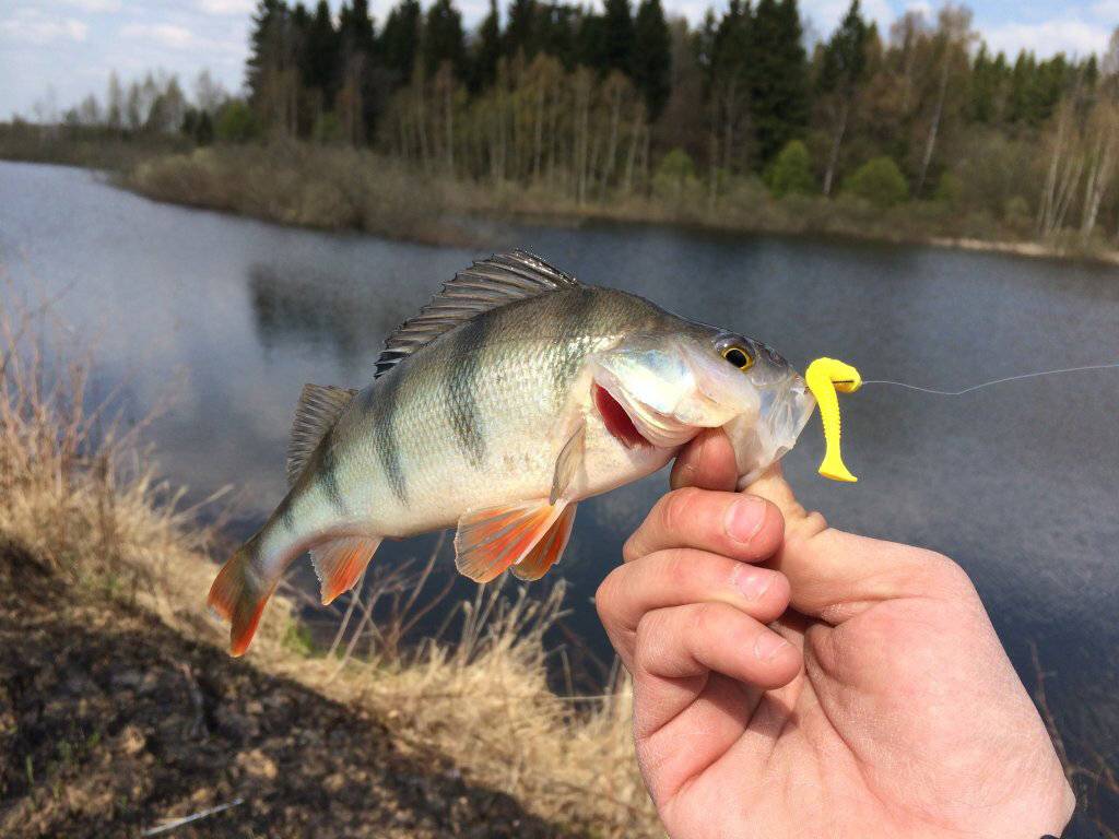 Рыбалка в апреле 2018: на что и как ловить рыбу весной?