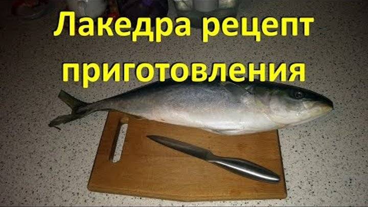 Рыба желтохвостая лакедра. Лакедра желтохвостая рецепты. Рыба желтохвостая лакедра рецепты. Лакедра (желтохвост).