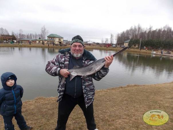 Платная рыбалка: топ-7 лучших мест в москве и области