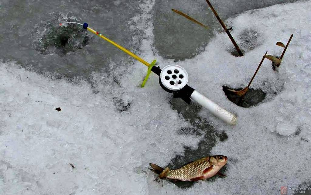 Как ловить карася зимой: по первому льду, в глухозимье и по последнему льду - читайте на сatcher.fish