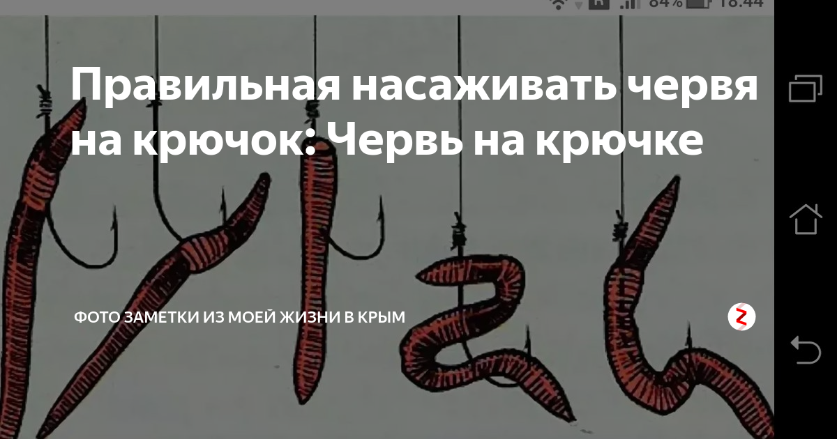ᐉ как правильно насаживать червя на крючок - ✅ ribalka-snasti.ru