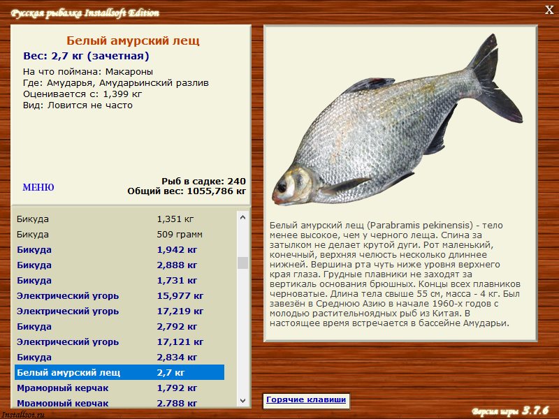 Рыба рыбец: полное описание, ареал обитания, ловля, фото