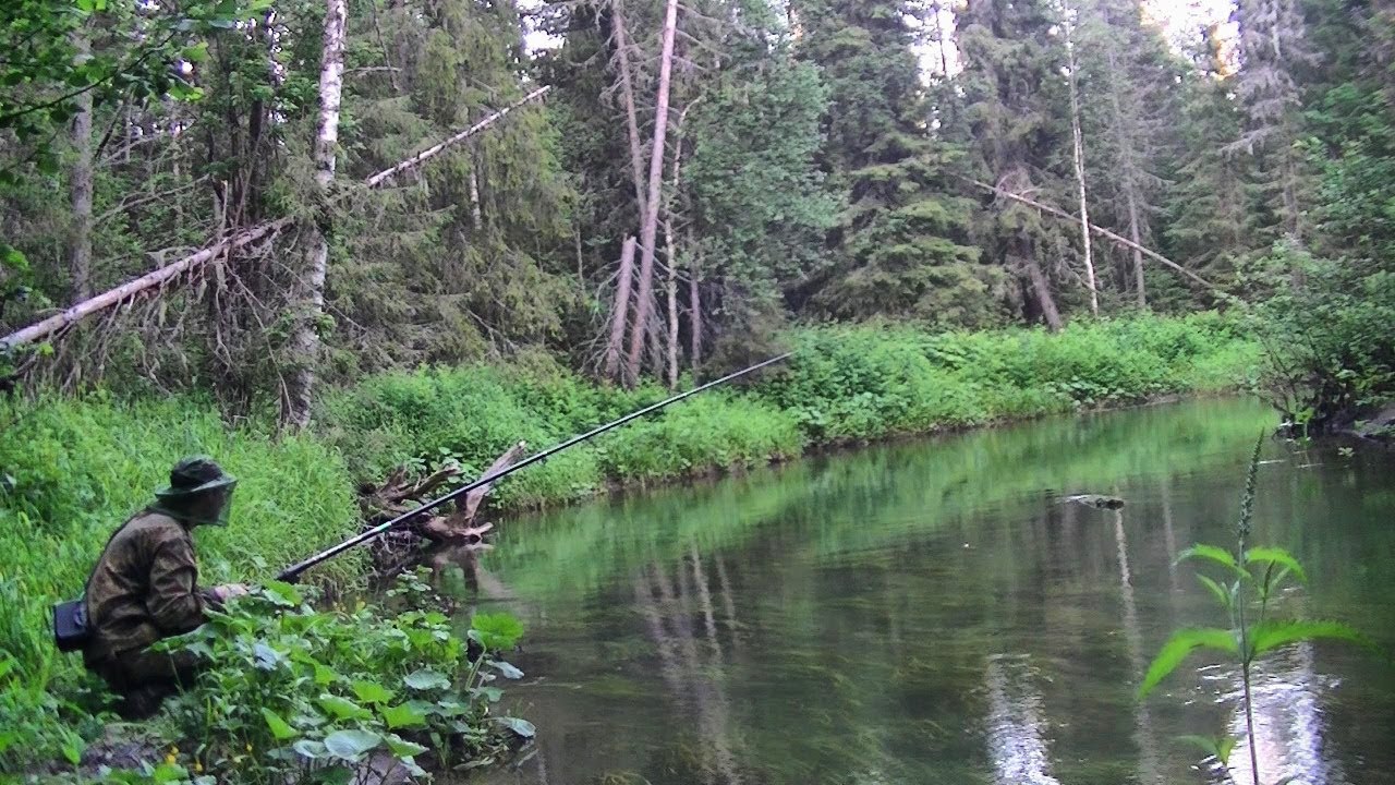 Рыбалка в тайге