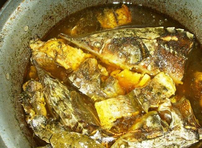 Стерлядь жареная на сковороде: вариантов вкусной жарки