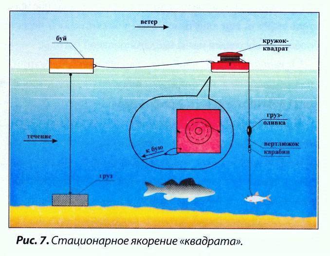 Ловля на кружки: схема оснастки, монтаж и выбор кружков. советы, как ставить кружки для ловли щуки на реках (фото + видео)