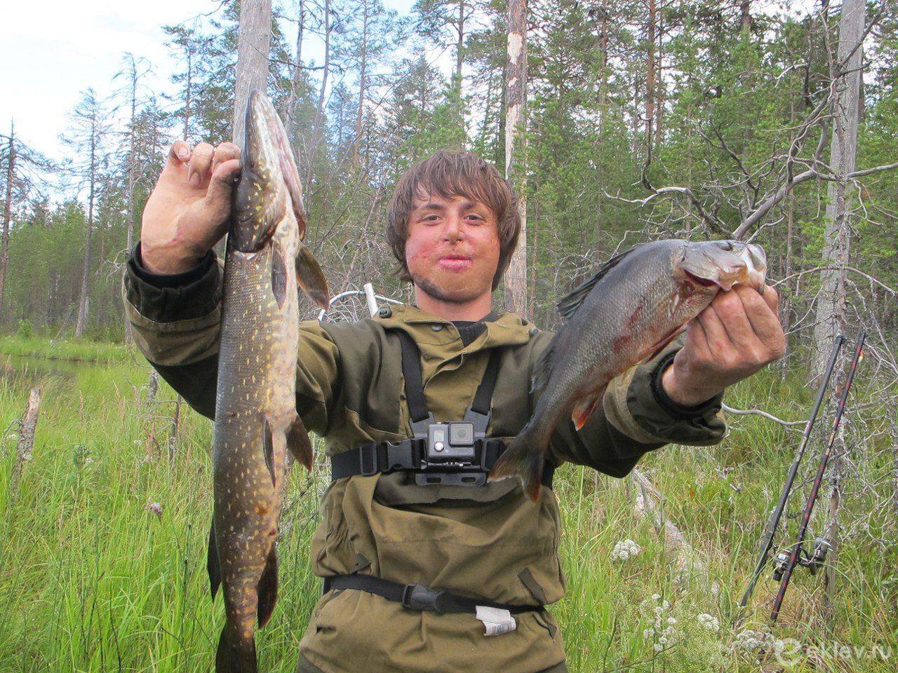 Рыбалка в республике карелия и в петрозаводске - fishingwiki