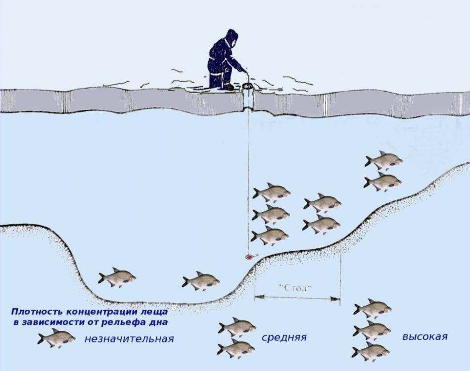 Ловля ленка сибирского представителя лососевых