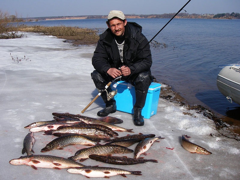Рыбинск форум рыбаков