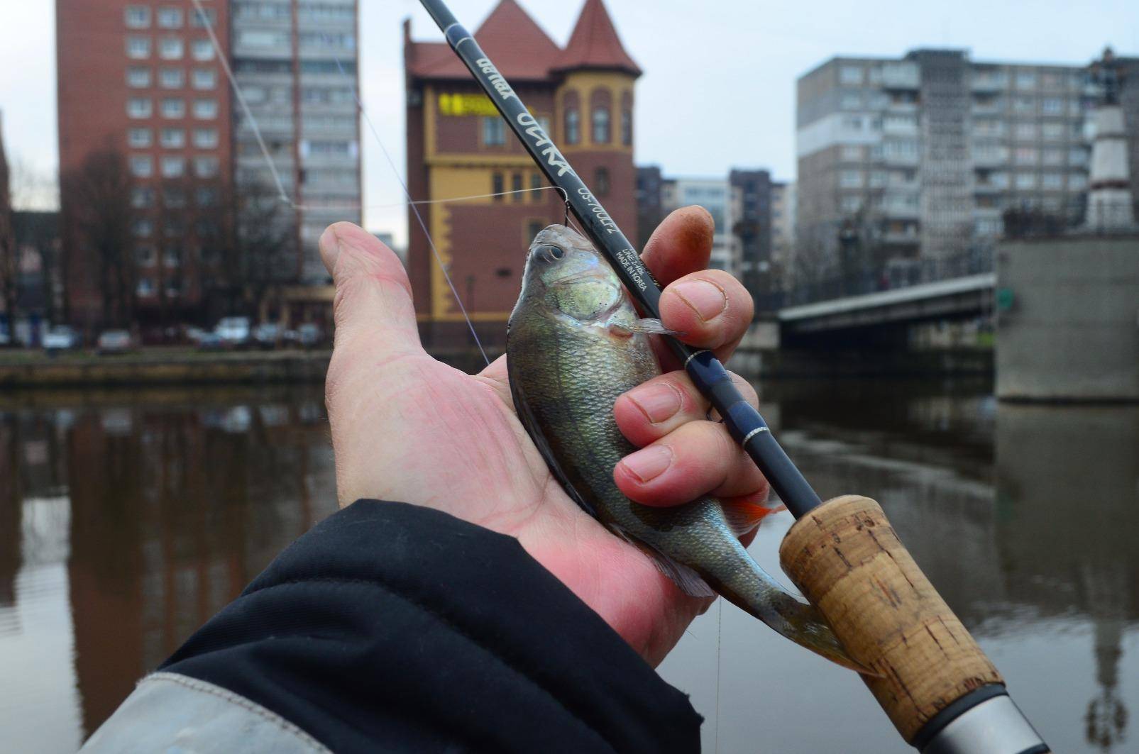 Стритфишинг – рыбалка в черте города, отличительные особенности