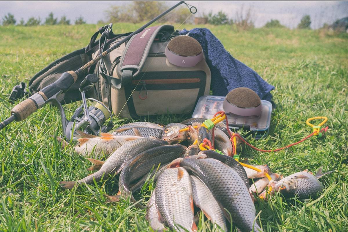 Все о летних снастях для рыбалки: от подбора и монтажа до нюансов закона о браконьерстве