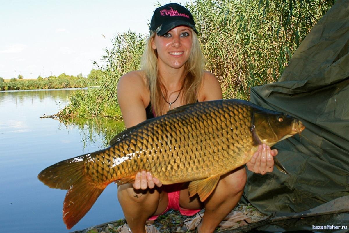 ✅ рыбалка в бисерово - netfishing24.ru