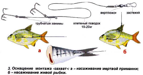 Как сделать поводок для рыбалки своими руками? :: syl.ru