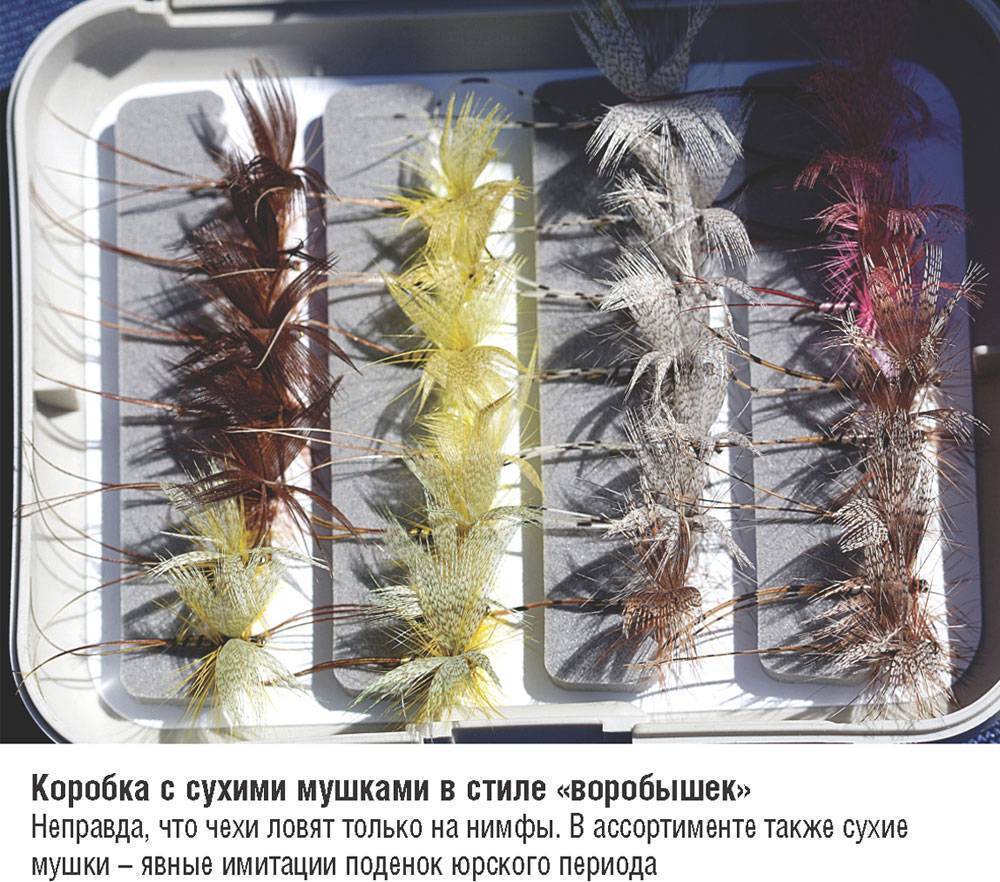 Ловля голавля нахлыстом: выбор снастей, мест ловли, нимф