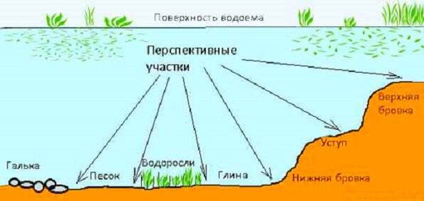 Оснастка фидера на леща — оснастка на течении, на реке, летом, монтаж оснастки - суперулов - интернет-портал о рыбалке