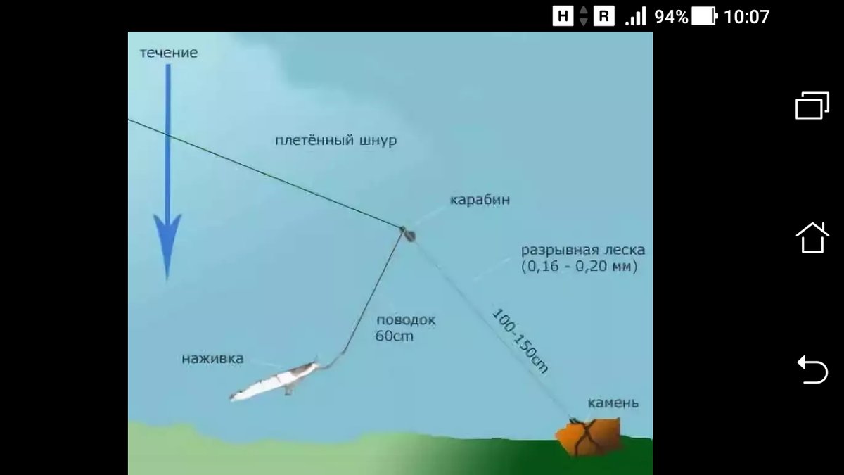 Снасти для ловли сома своими руками, лучшие наживки и приманки