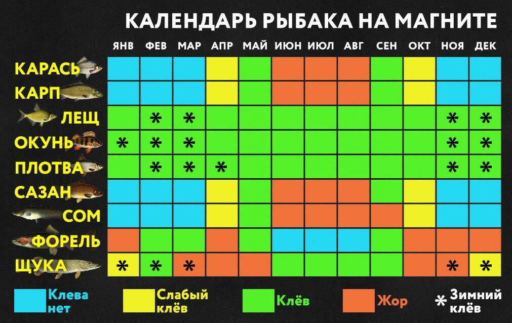На что лучше клюет карп - суперулов - интернет-портал о рыбалке