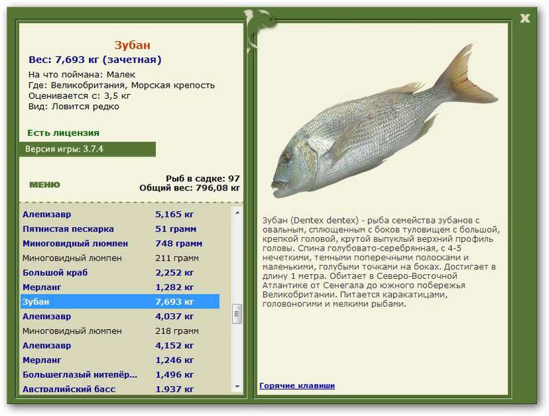 Зубатка описание рыбы